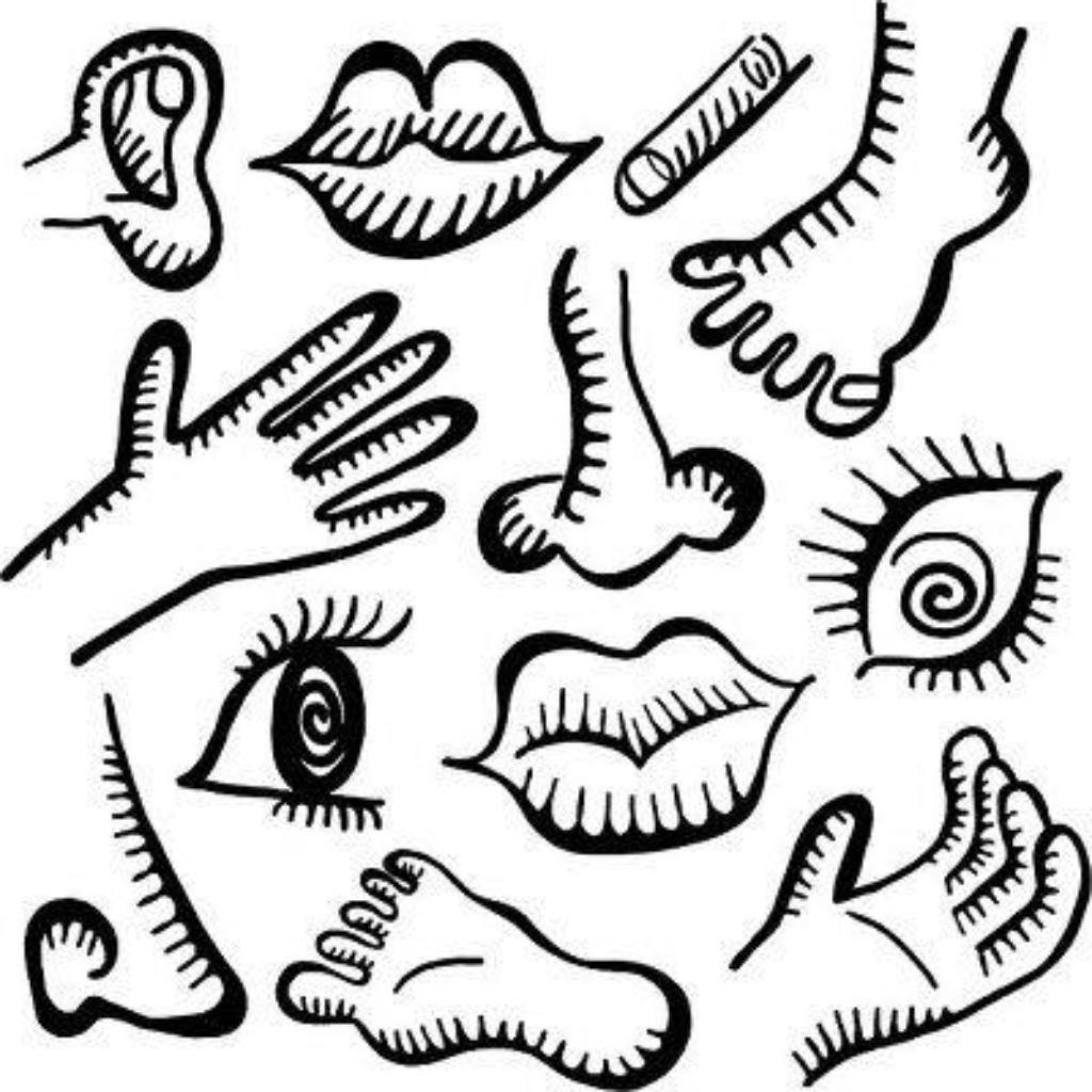anatomy-1234026_pixabay